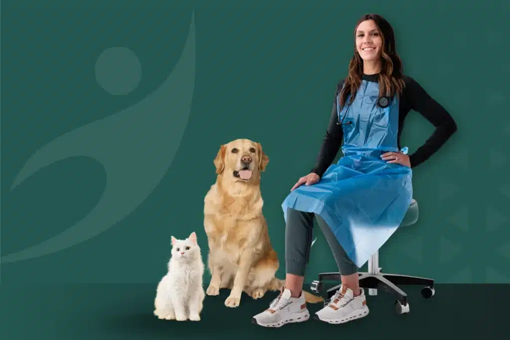 PPE supporting health and safety in veterinary clinics.